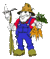 YAA